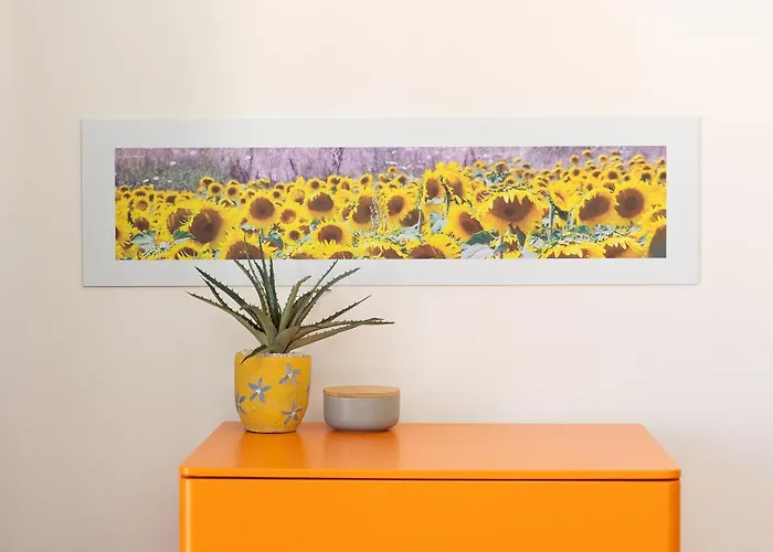 The Sunflower House Rome